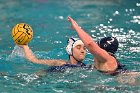 WWPolo @ CC  Wheaton College Women’s Water Polo at Connecticut College. - Photo By: KEITH NORDSTROM : Wheaton, water polo